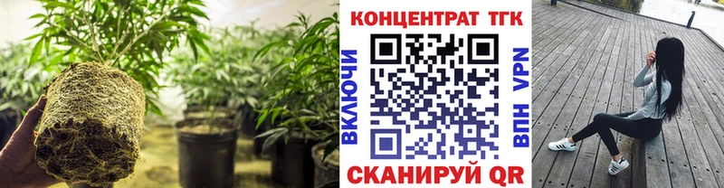 Дистиллят ТГК гашишное масло  mega вход  Мамадыш 
